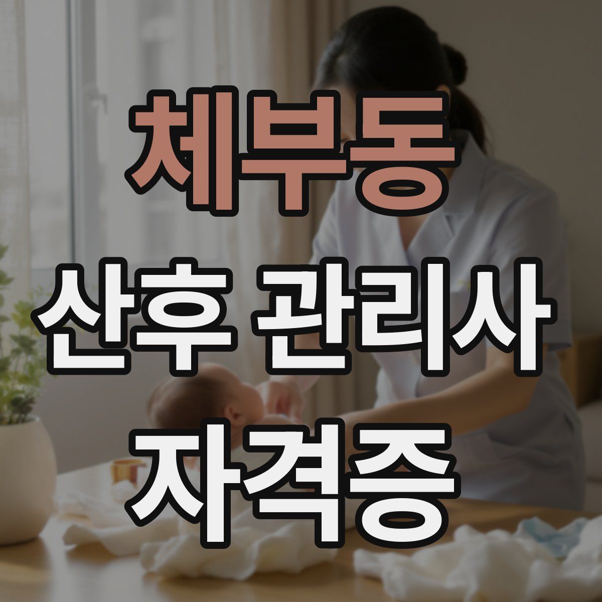 체부동 산후 관리사 자격증