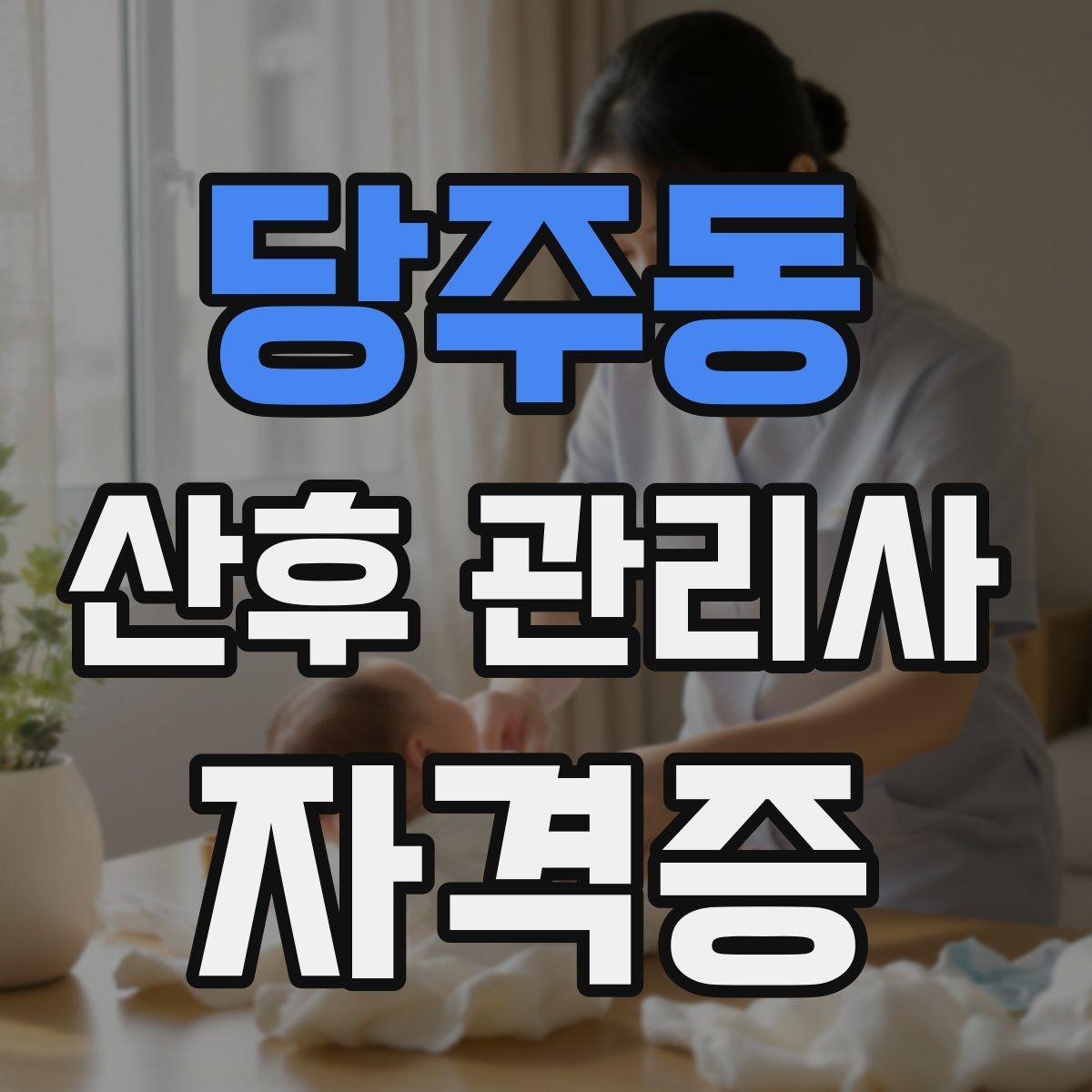 당주동 산후 관리사 자격증 산후조리 식사 준비 범위 정리