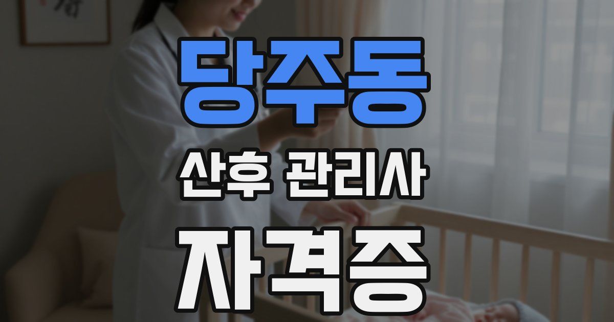 당주동 산후 관리사 자격증