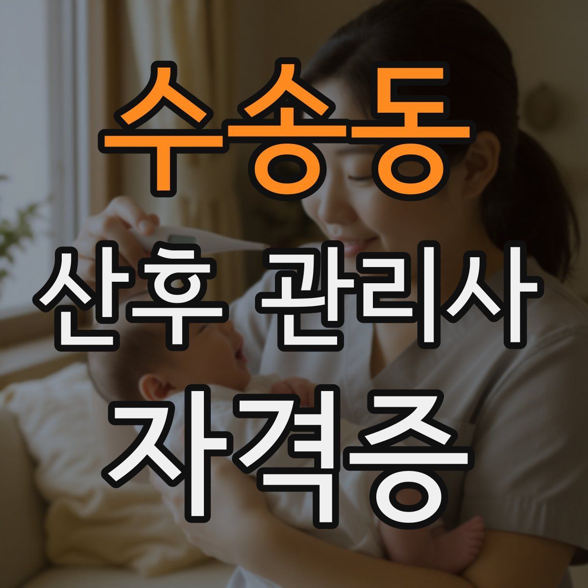 수송동 산후 관리사 자격증