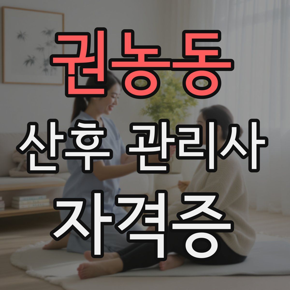 권농동 산후 관리사 자격증