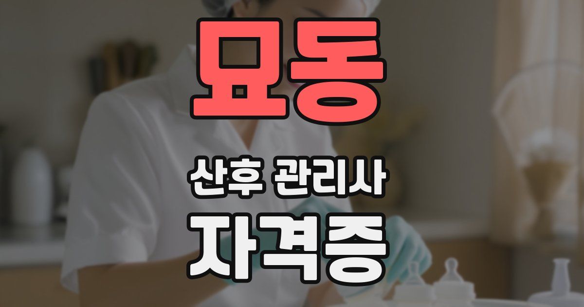 묘동 산후 관리사 자격증