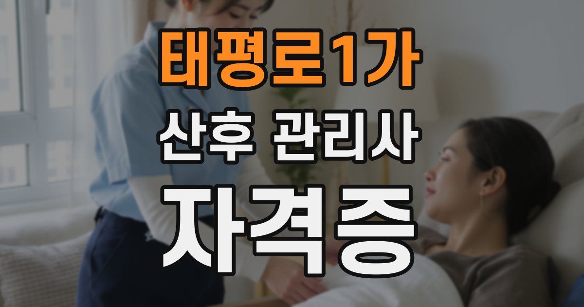 태평로1가 산후 관리사 자격증