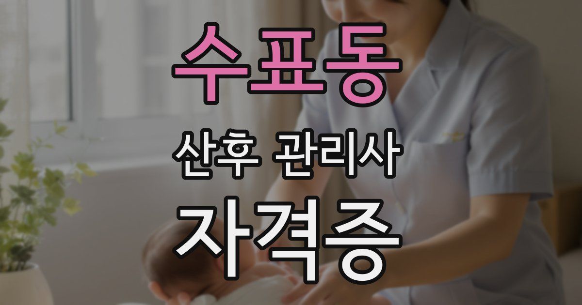 수표동 산후 관리사 자격증