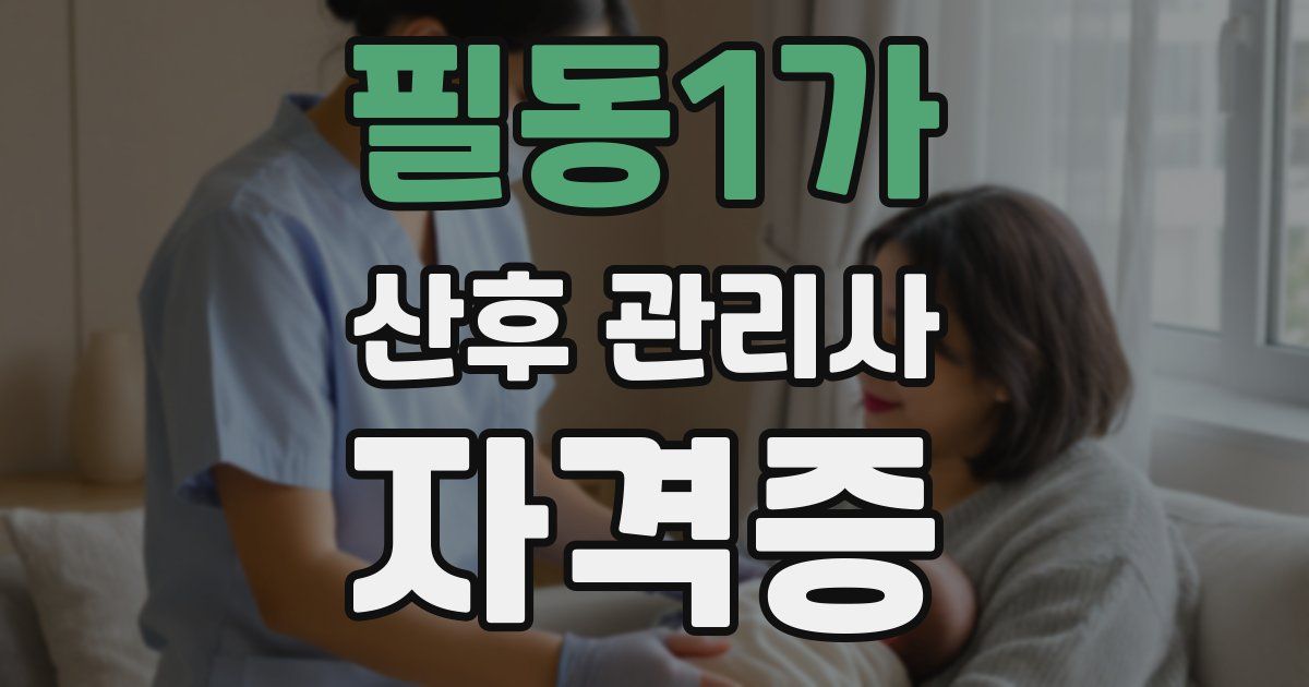 필동1가 산후 관리사 자격증