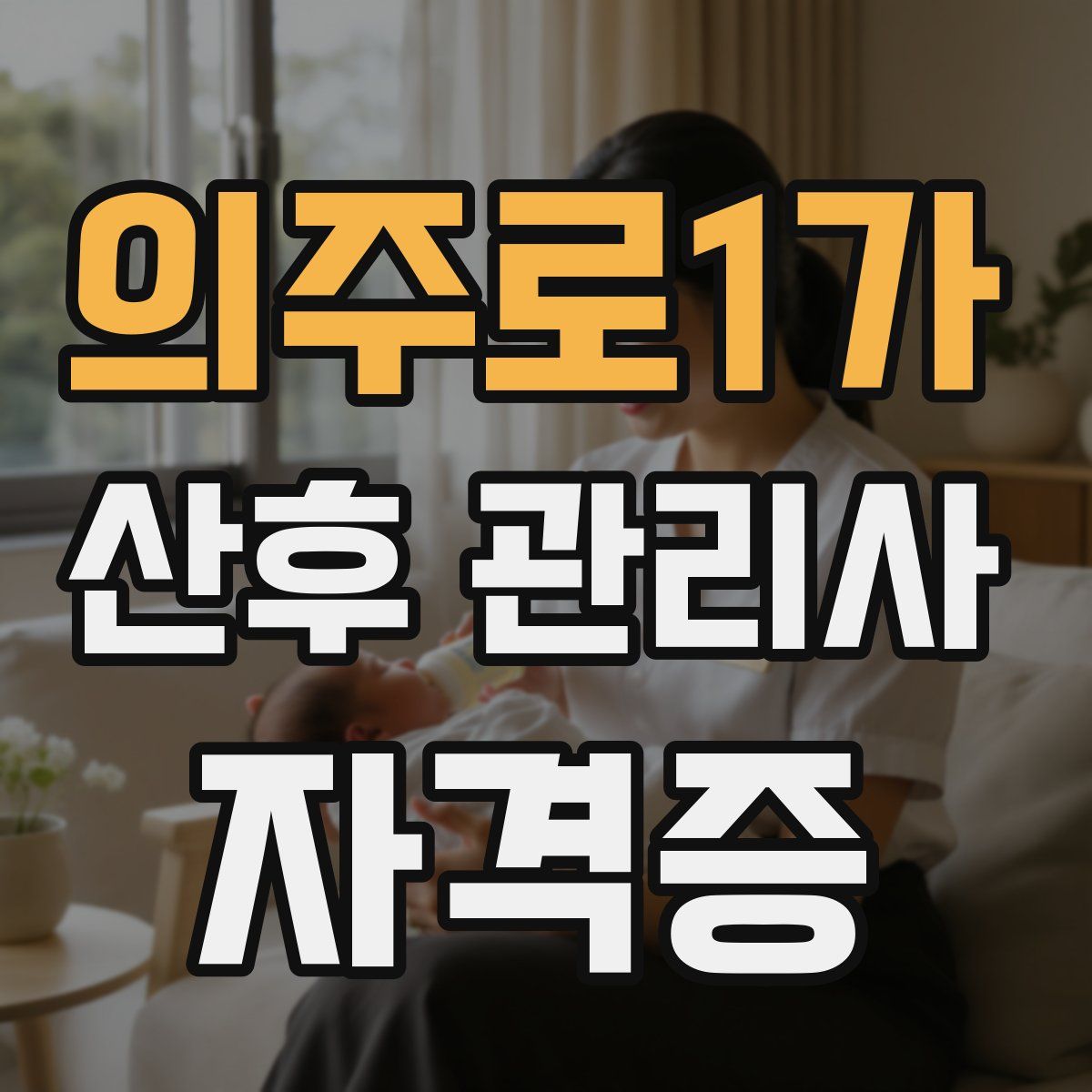 의주로1가 산후 관리사 자격증