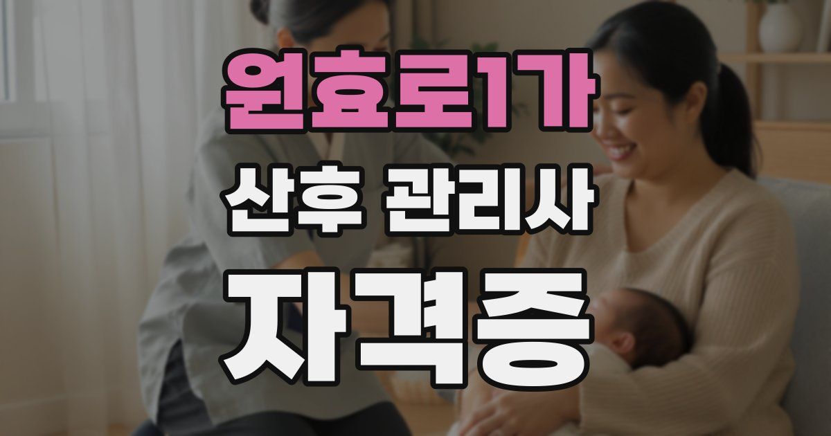 원효로1가 산후 관리사 자격증