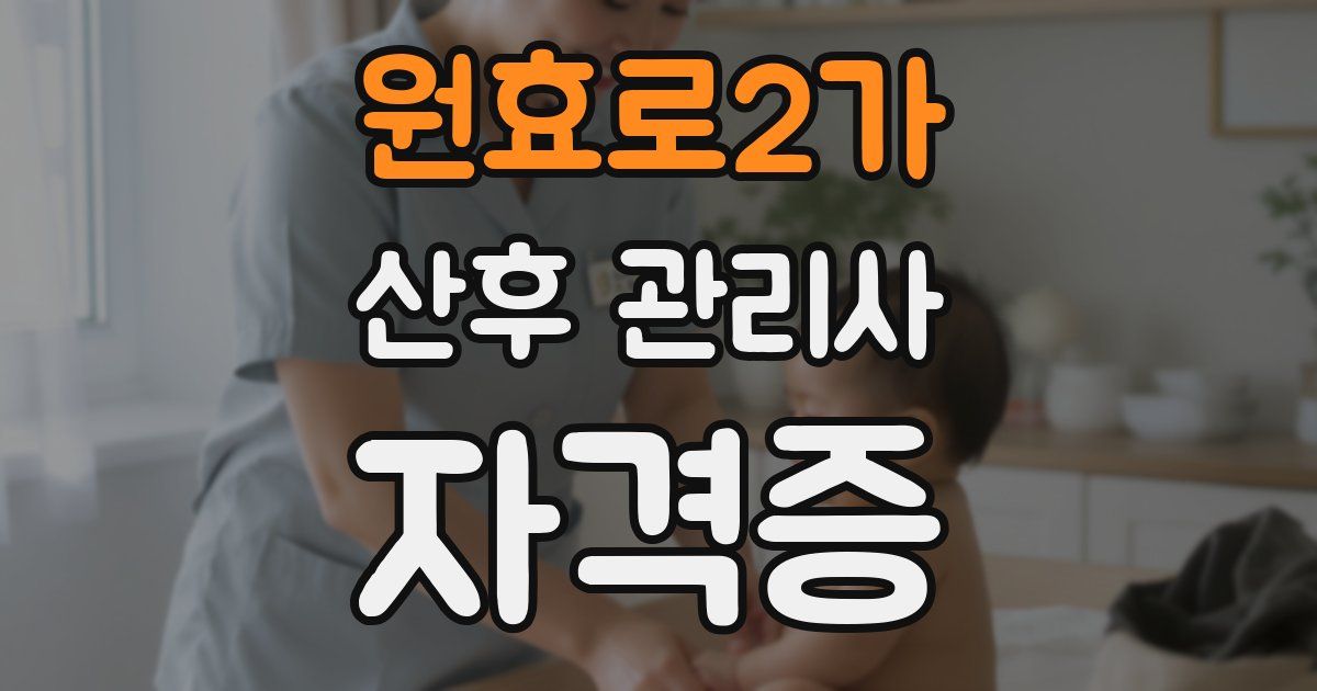 원효로2가 산후 관리사 자격증