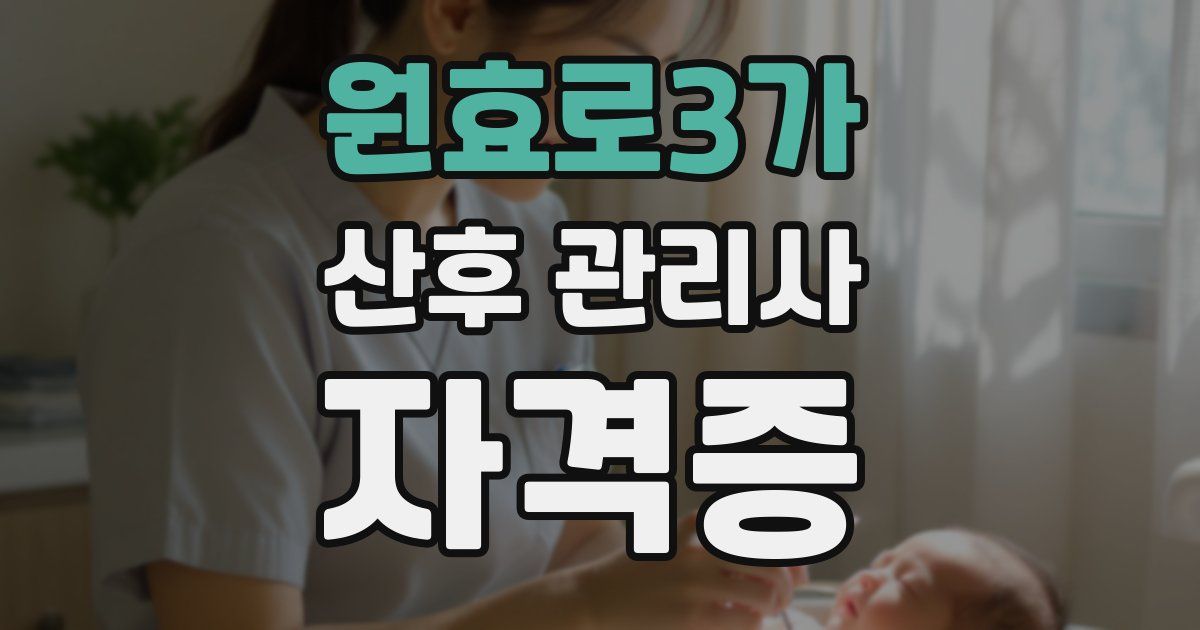 원효로3가 산후 관리사 자격증
