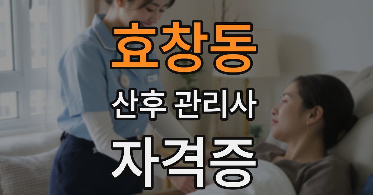 효창동 산후 관리사 자격증