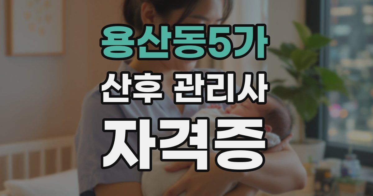 용산동5가 산후 관리사 자격증