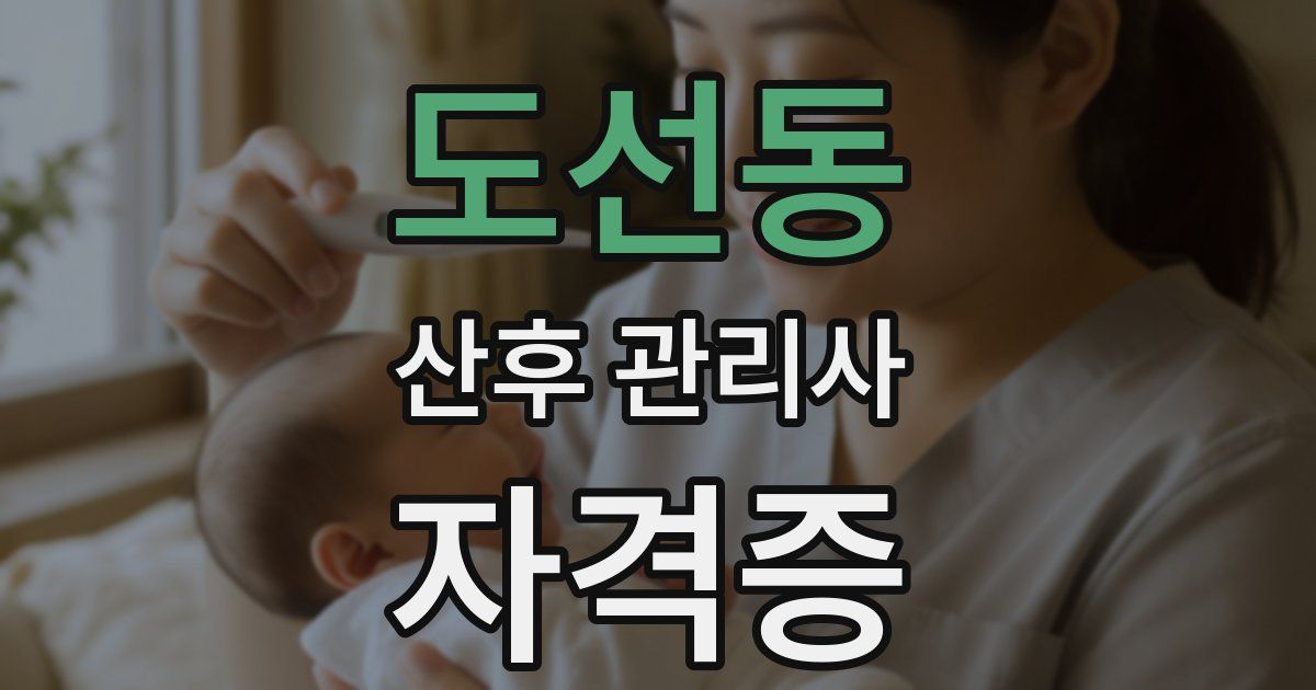 도선동 산후 관리사 자격증