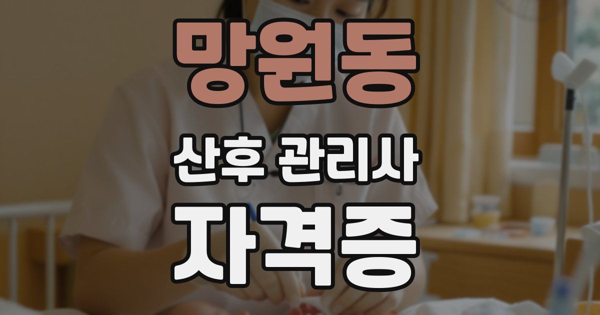 망원동 산후 관리사 자격증