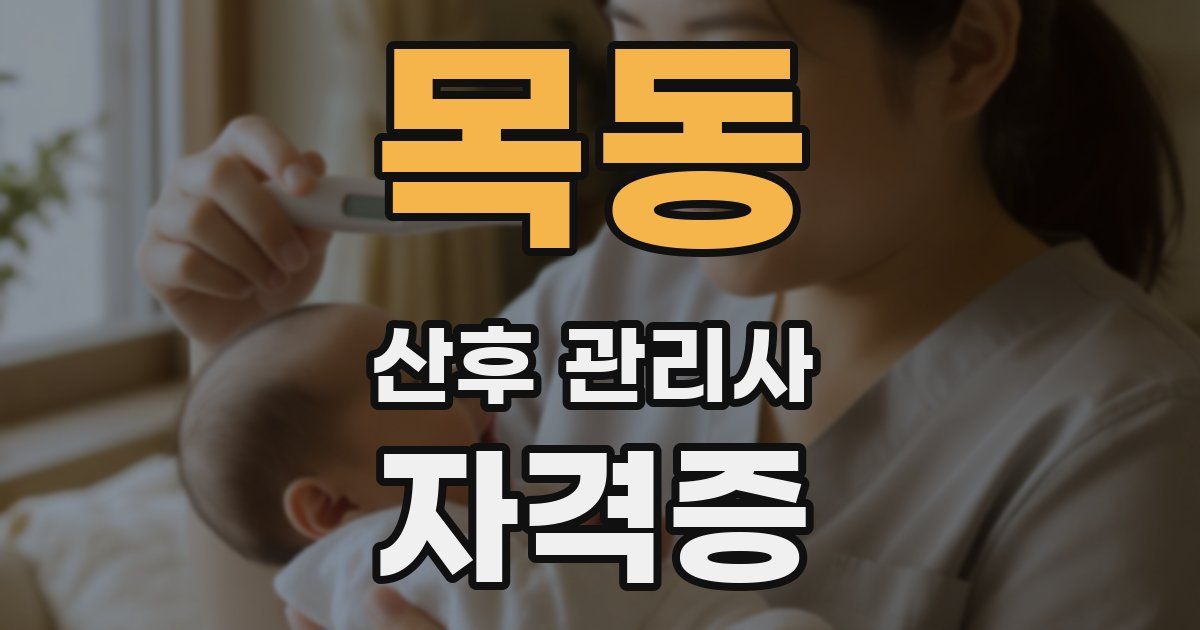 목동 산후 관리사 자격증