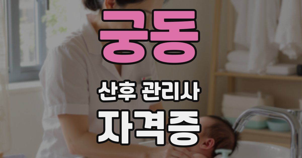 궁동 산후 관리사 자격증