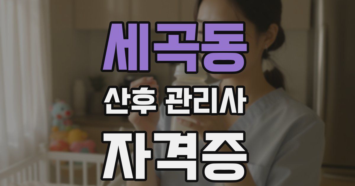 세곡동 산후 관리사 자격증