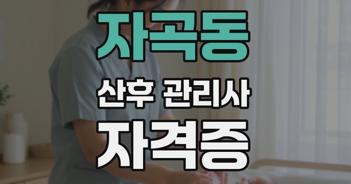 자곡동 산후 관리사 자격증
