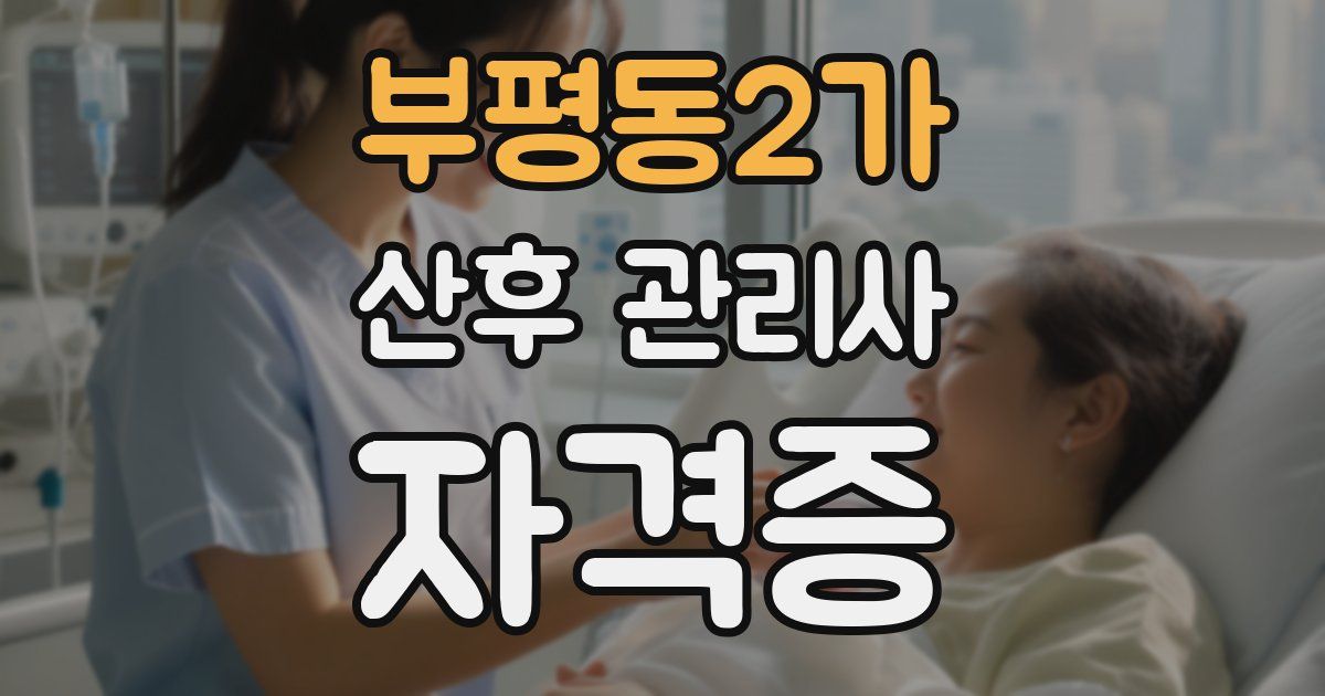 부평동2가 산후 관리사 자격증