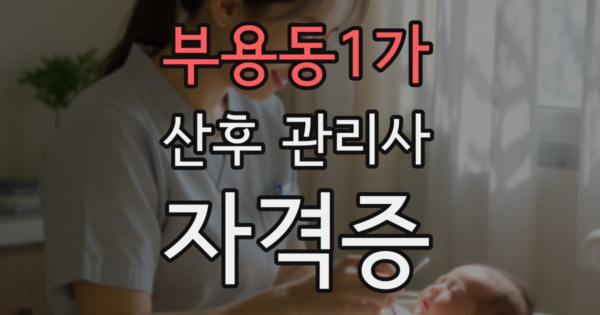 부용동1가 산후 관리사 자격증