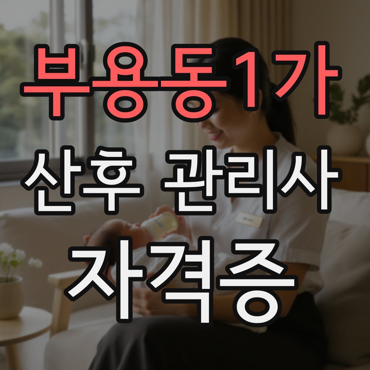 부용동1가 산후 관리사 자격증