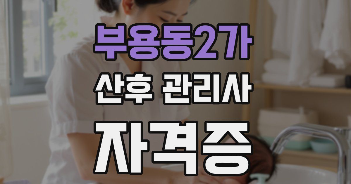 부용동2가 산후 관리사 자격증