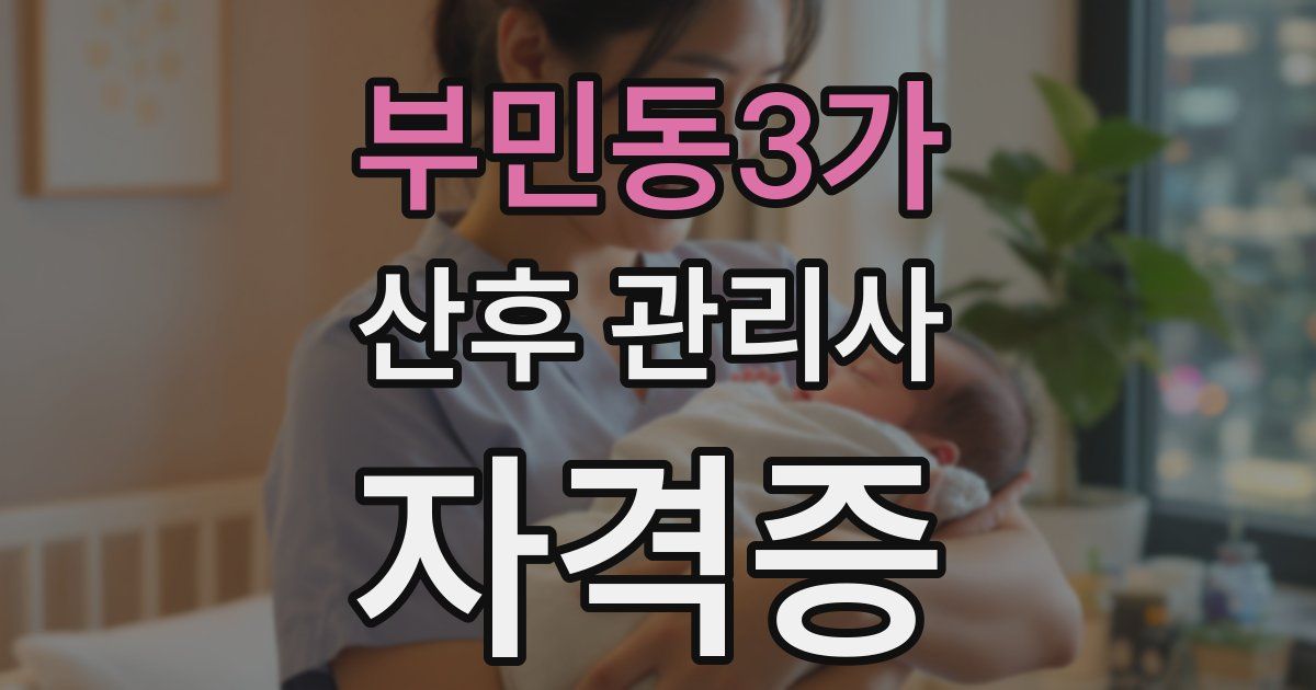 부민동3가 산후 관리사 자격증