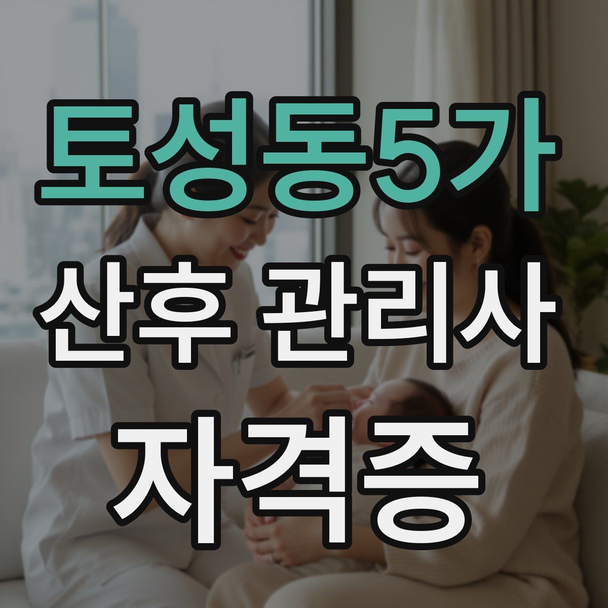 토성동5가 산후 관리사 자격증