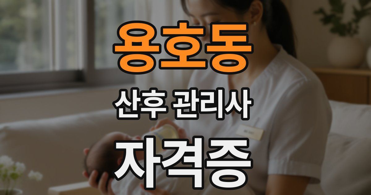 용호동 산후 관리사 자격증