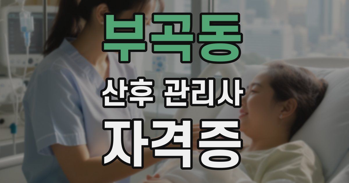 부곡동 산후 관리사 자격증