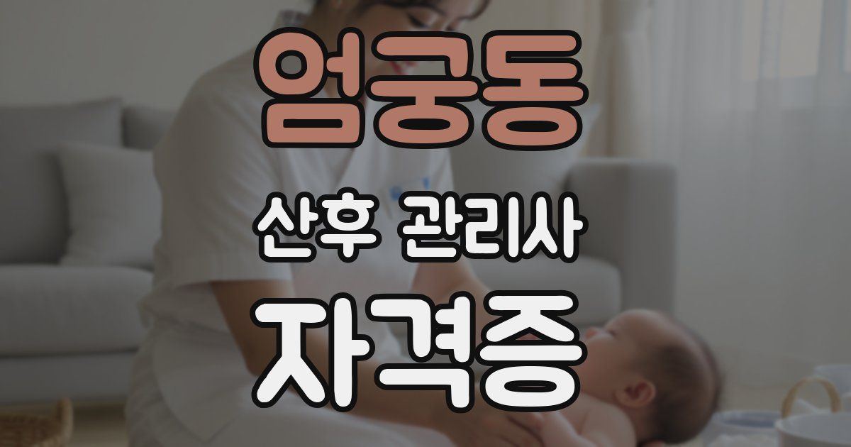 엄궁동 산후 관리사 자격증