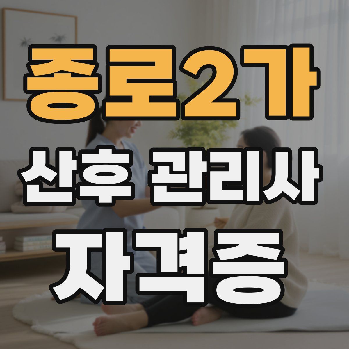 종로2가 산후 관리사 자격증