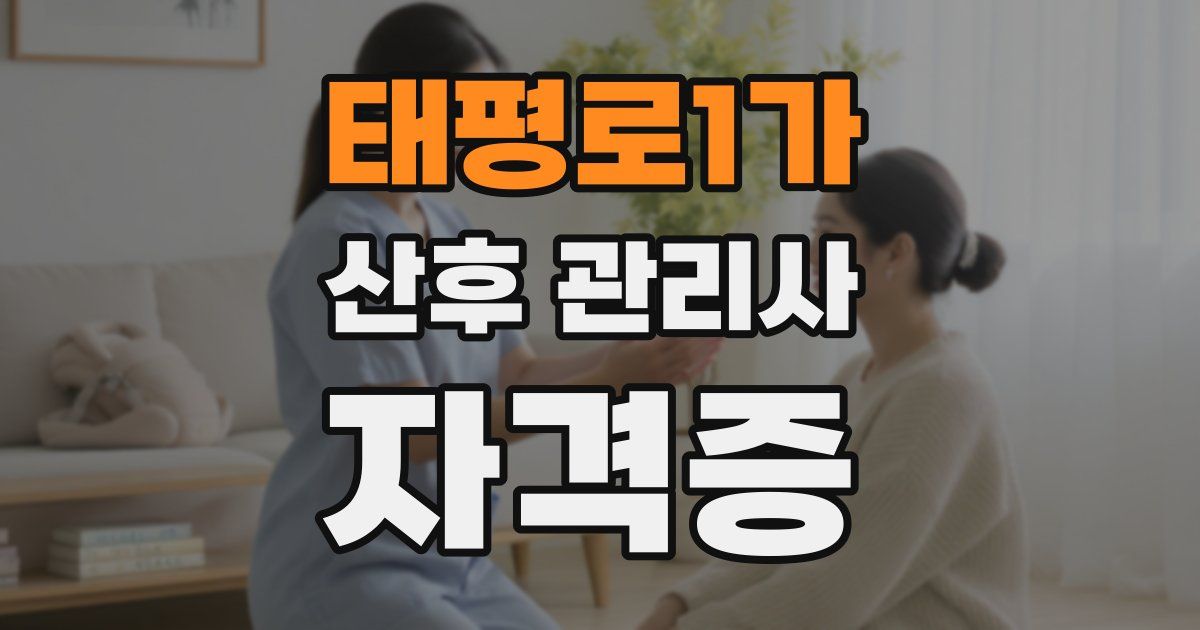 태평로1가 산후 관리사 자격증