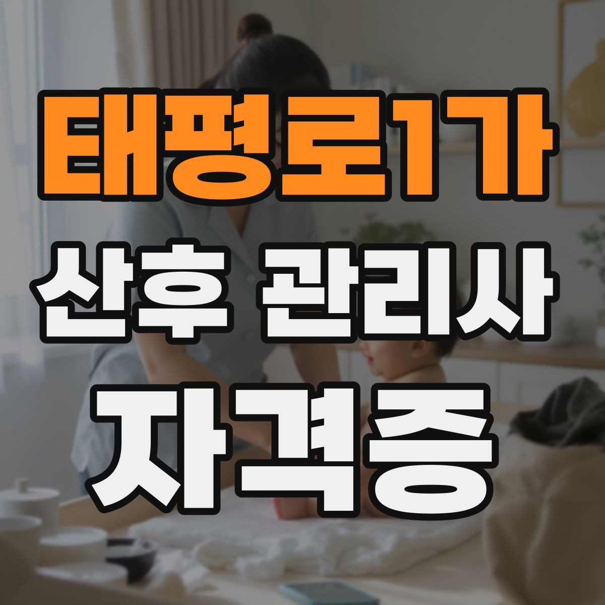 태평로1가 산후 관리사 자격증