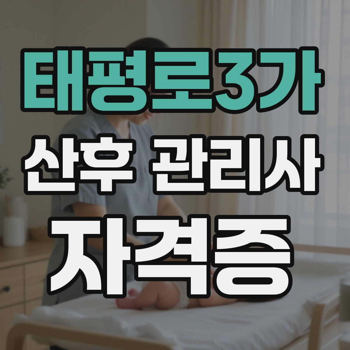 태평로3가 산후 관리사 자격증