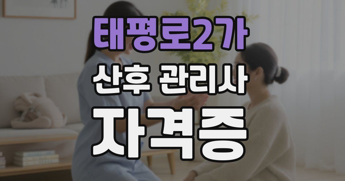 태평로2가 산후 관리사 자격증