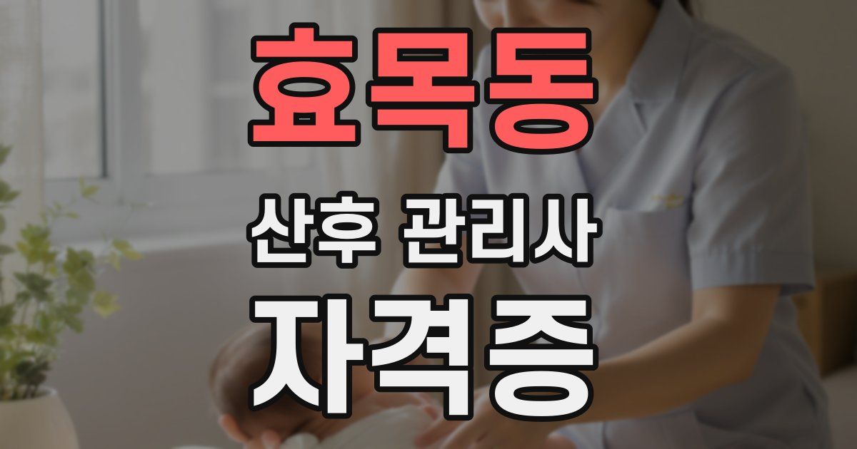 효목동 산후 관리사 자격증