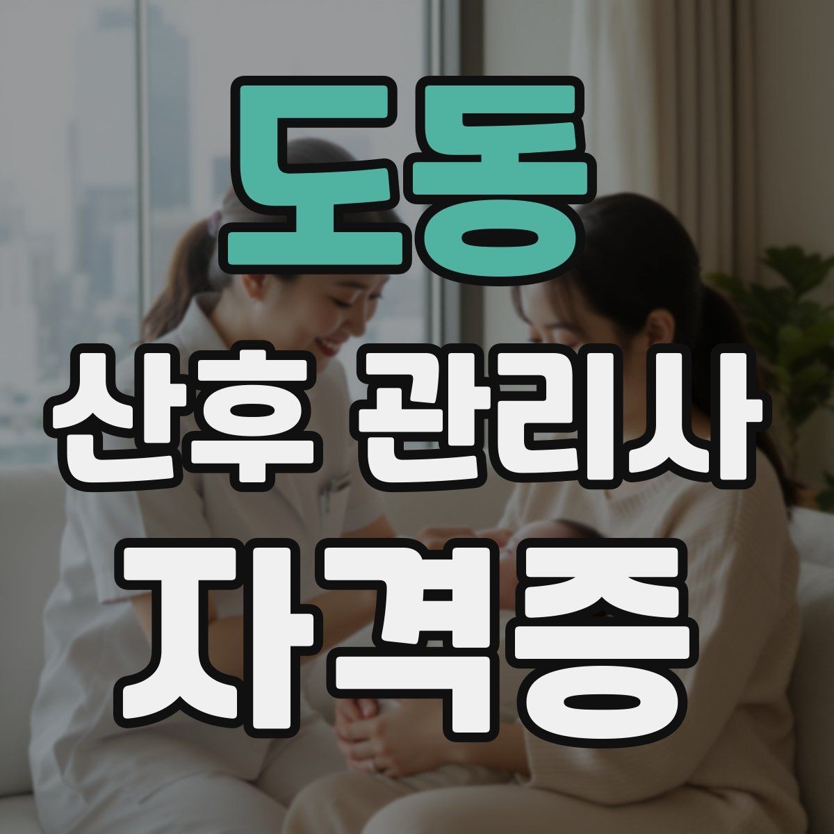 도동 산후 관리사 자격증 활동을 시작하는 현실적인 순서