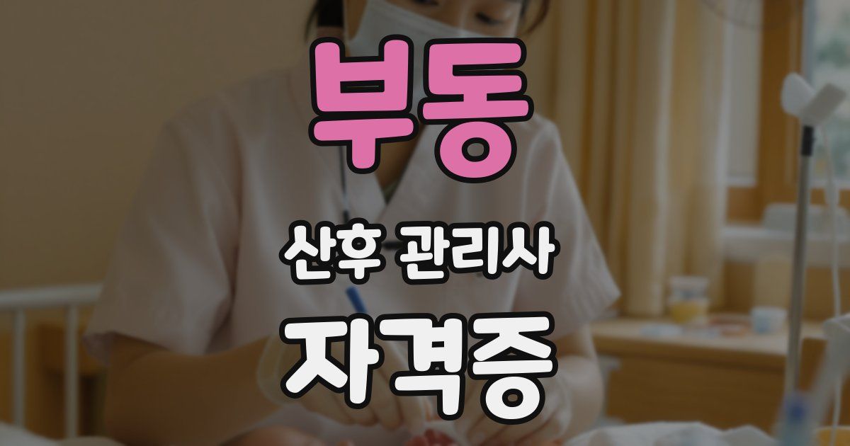 부동 산후 관리사 자격증