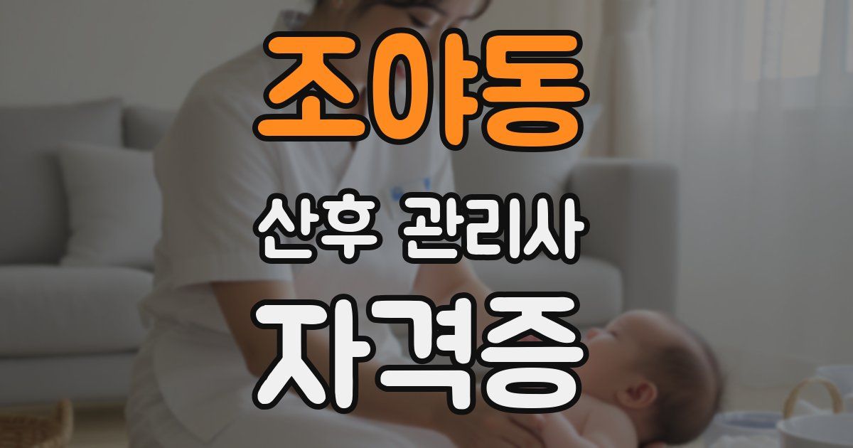 조야동 산후 관리사 자격증