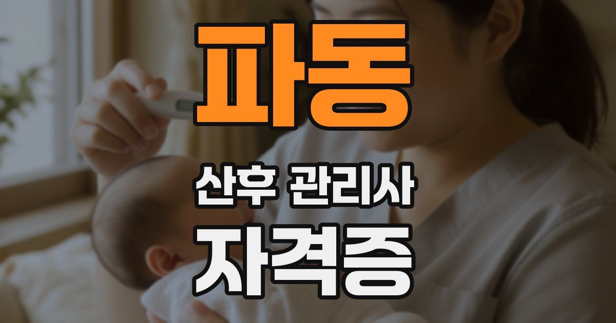 파동 산후 관리사 자격증