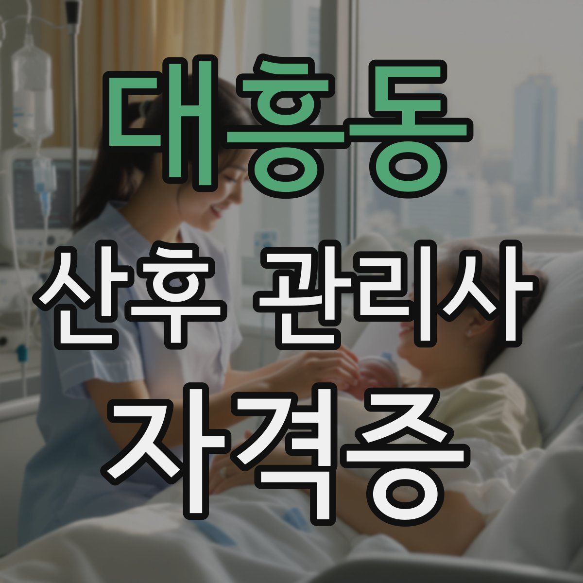 대흥동 산후 관리사 자격증