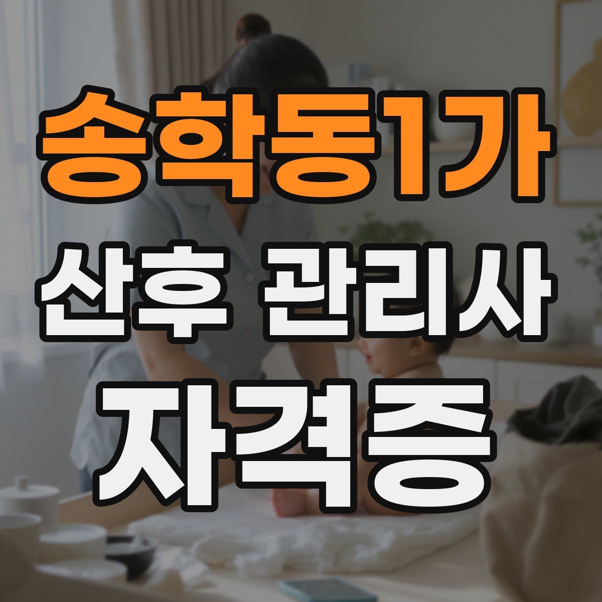 송학동1가 산후 관리사 자격증