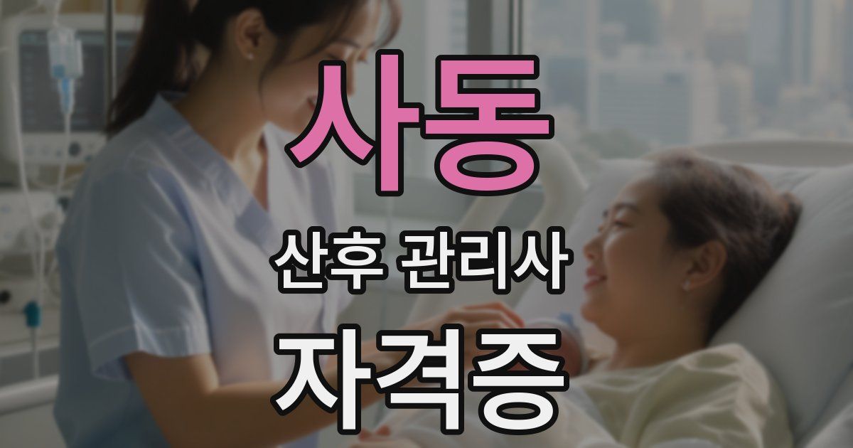 사동 산후 관리사 자격증