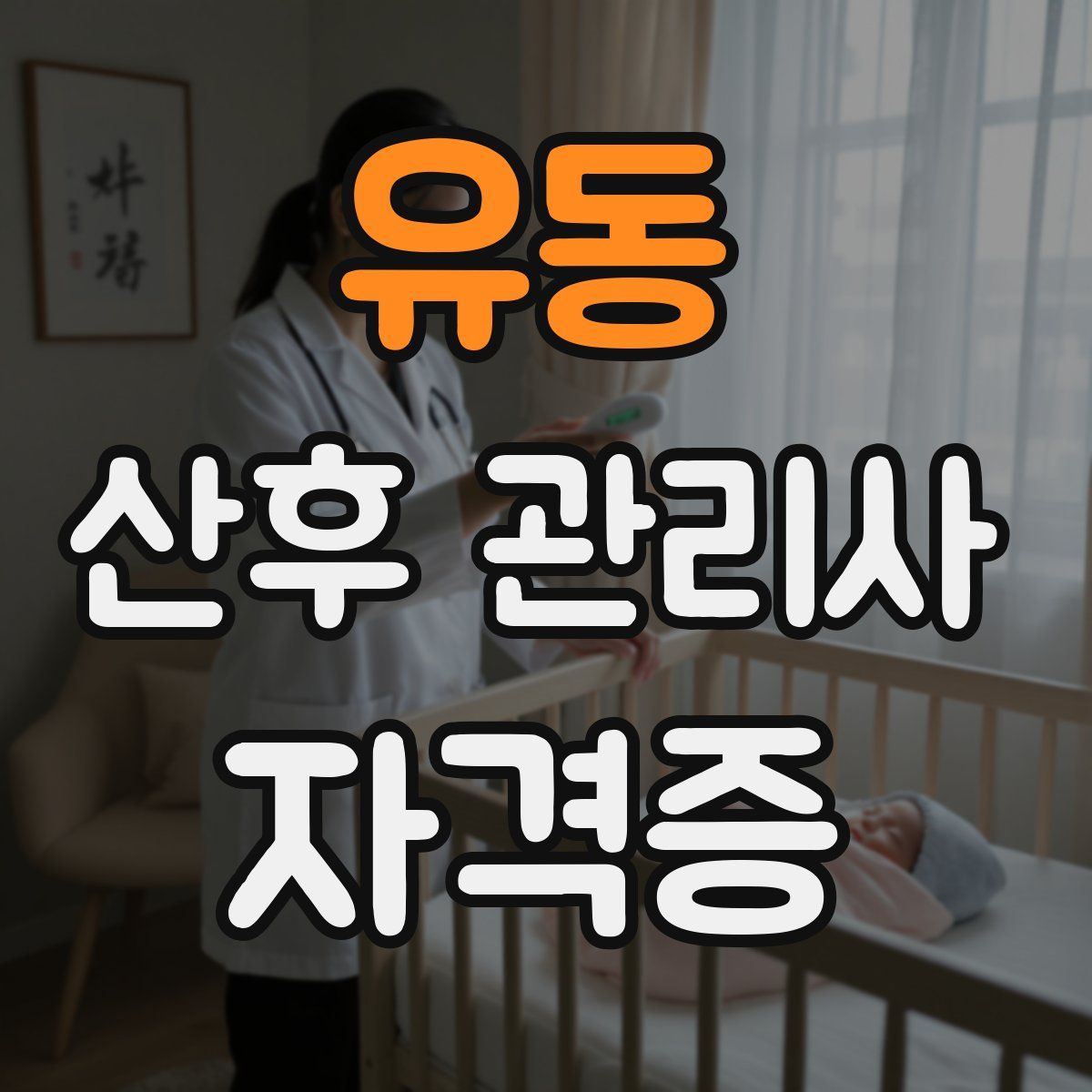 유동 산후 관리사 자격증