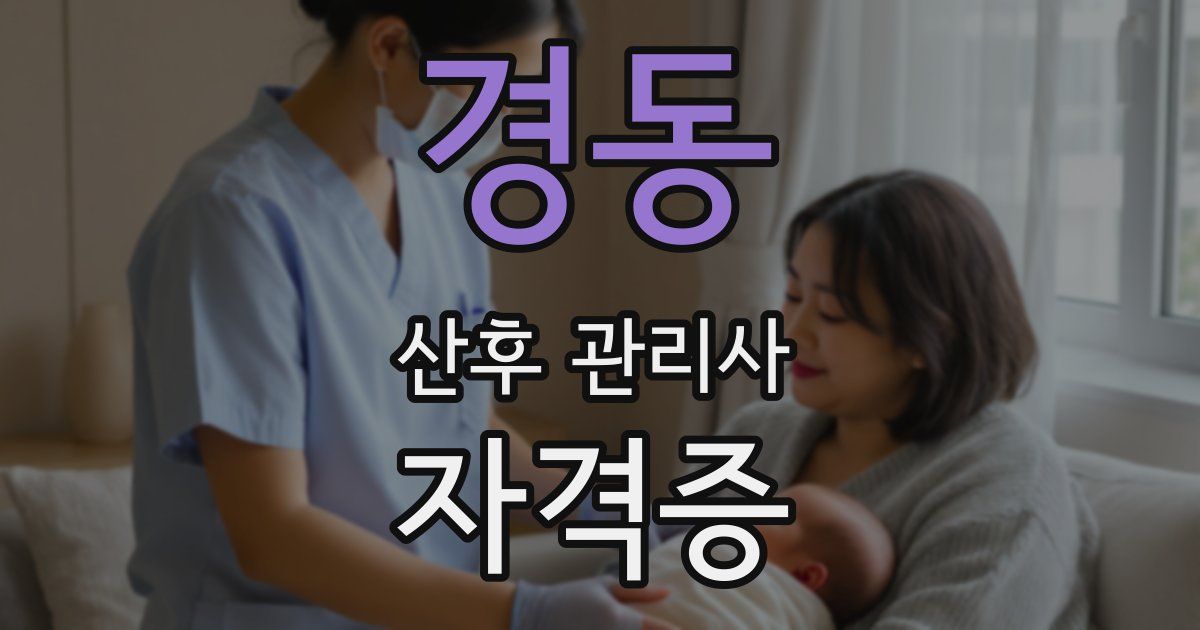 경동 산후 관리사 자격증