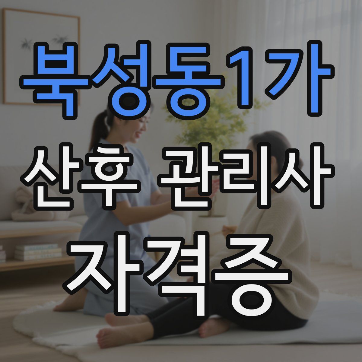 북성동1가 산후 관리사 자격증