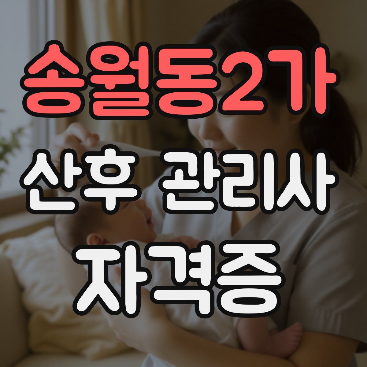 송월동2가 산후 관리사 자격증