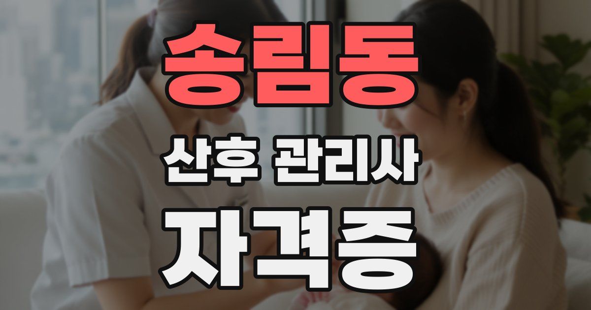 송림동 산후 관리사 자격증