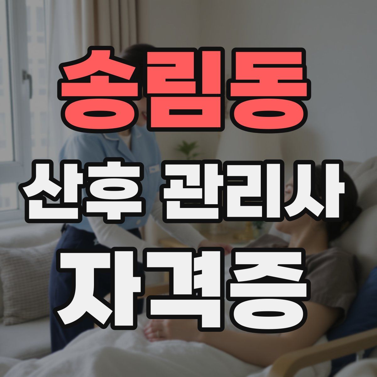 송림동 산후 관리사 자격증