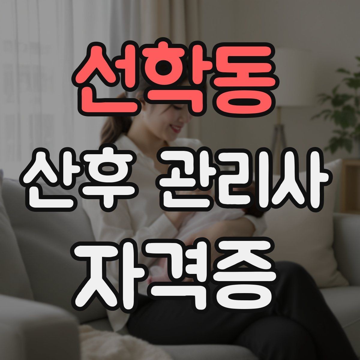 선학동 산후 관리사 자격증 활동 비용 안내를 투명하게 하는 방법